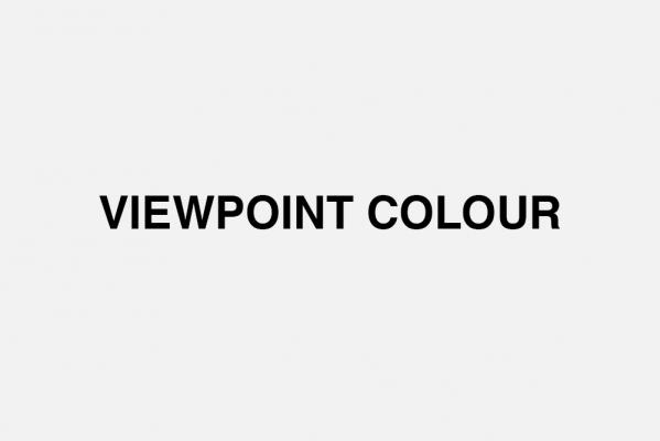 Viewpoint color logo