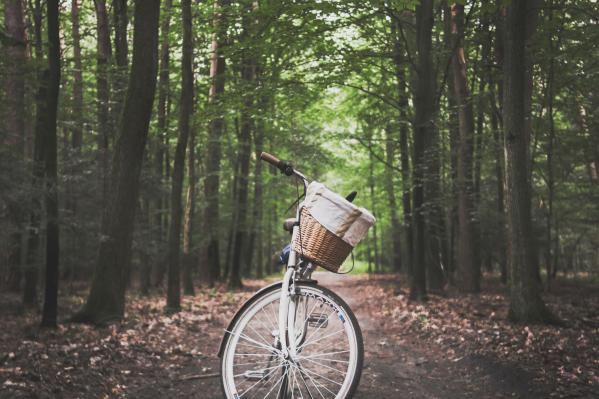 cykelpaus - attraktiva rastplatser för cyklister 