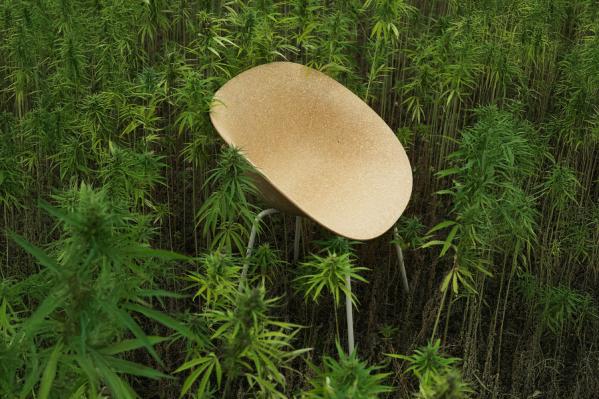 Plant to product