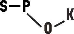 SPOK logo