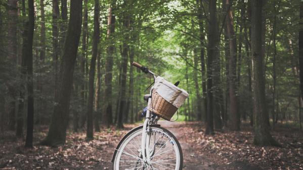 cykelpaus - attraktiva rastplatser för cyklister 