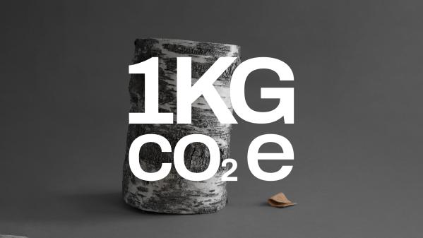 1 kg co2e