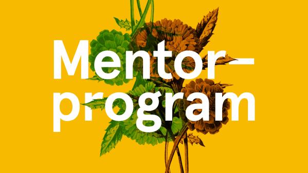 Mentorprogram 25-26