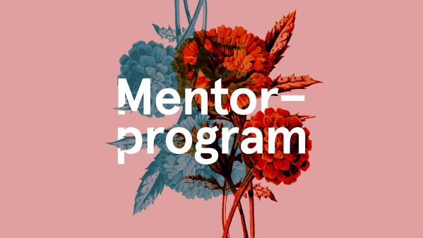 Mentorprogram 2020