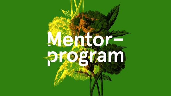 Mentorprogram 2024