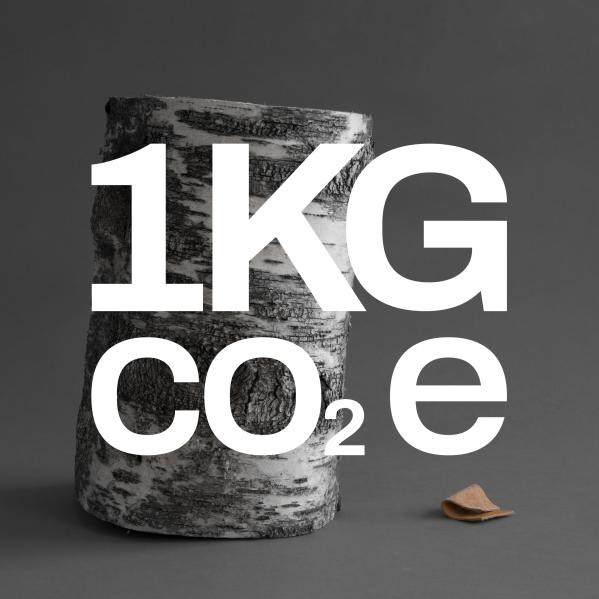 1 kg co2e