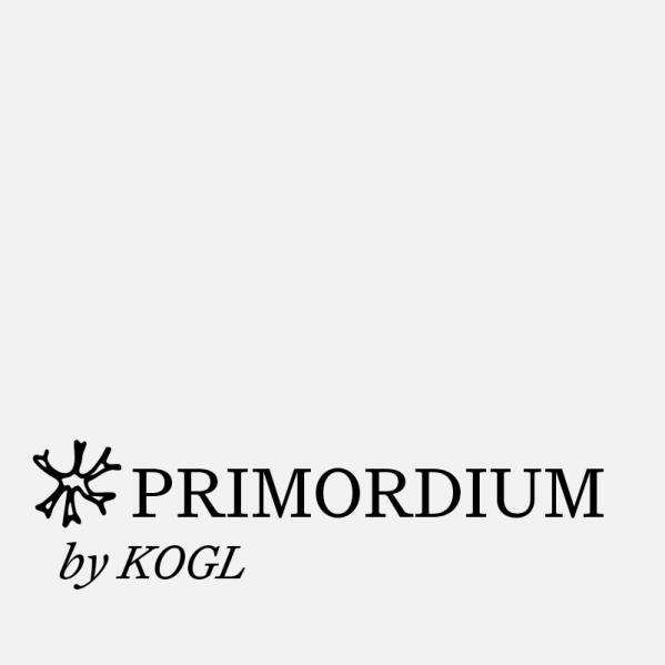 Primordium