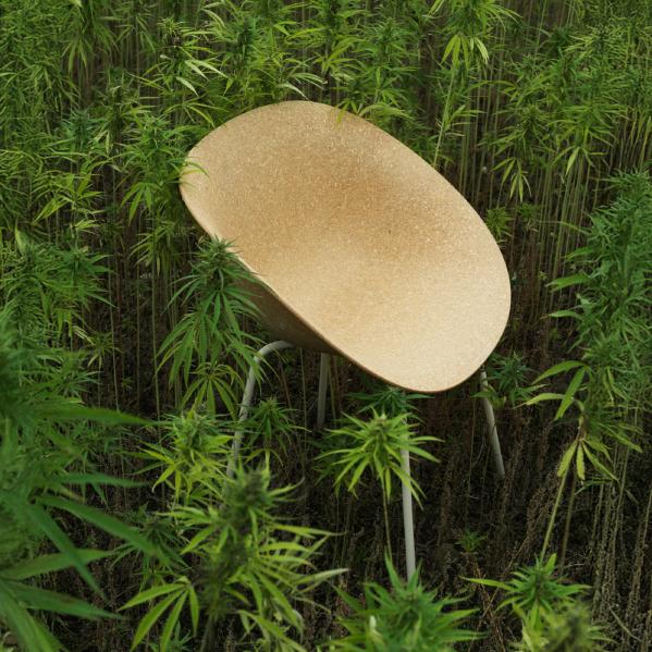 Plant to product