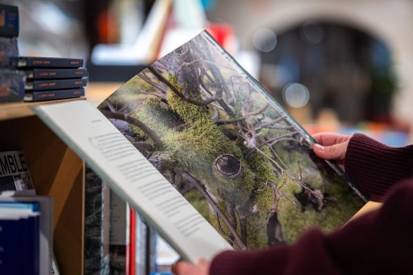 Vi talade om träd som om de varit människor