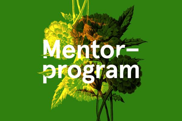 Mentorprogram 2024